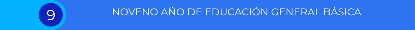 Noveno año de Educación Básica